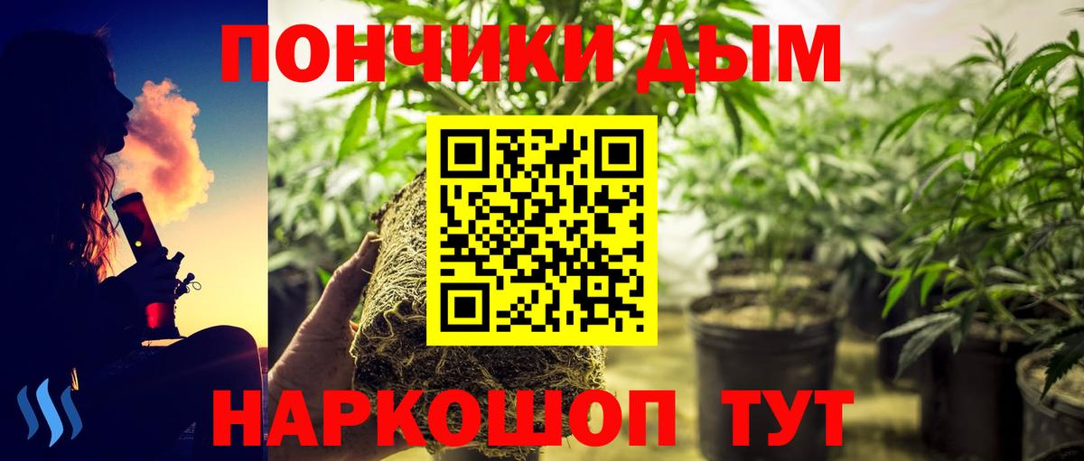 Каннабис Ganja Дубна
